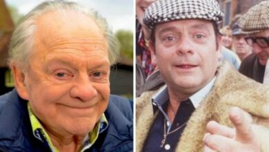Photo of ‘Hardly a shock’ Only Fools and Horses star David Jason on how he landed Del Boy role