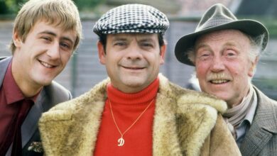 Photo of Only Fools and Horses legend David Jason’s forgotten roles as 2 of children’s TV’s best characters