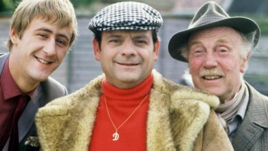 Photo of Only Fools and Horses legend David Jason’s forgotten roles as 2 of children’s TV’s best characters