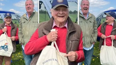 Photo of Only Fools and Horses David Jason in rare appearance as he flies to Jeremy Clarkson’s farm