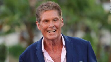 Photo of David Hasselhoff Is Leading A New TV Show Where He’ll Play… David Hasselhoff