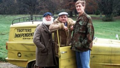 Photo of I’m an Only Fools And Horses Fan and I’m being forced to sell my iconic van