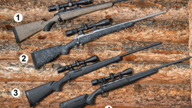 Photo of The 6 Best Classic Rifles for Tracking Deer