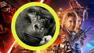 Photo of Watch Koko The Gorilla Review Star Wars: The Force Awakens