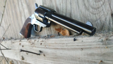 Photo of Gun Review: Taylor’s & Company TC9 1873 SA Single Action Revolver
