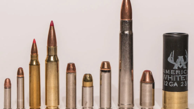 Photo of Best Rifle Cartridges for Elk Hunting of 2023