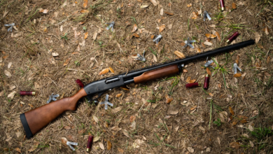 Photo of Remington 870 Express Shotgun: Tested and Reviewed