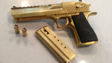 Photo of The .50 AE Desert Eagle Is More Cannon Than Gun