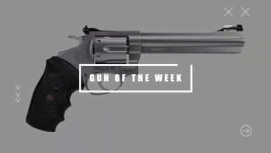 Photo of Gun Of The Week: Rossi USA RM66